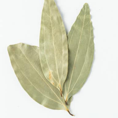 Indian Bay leaves