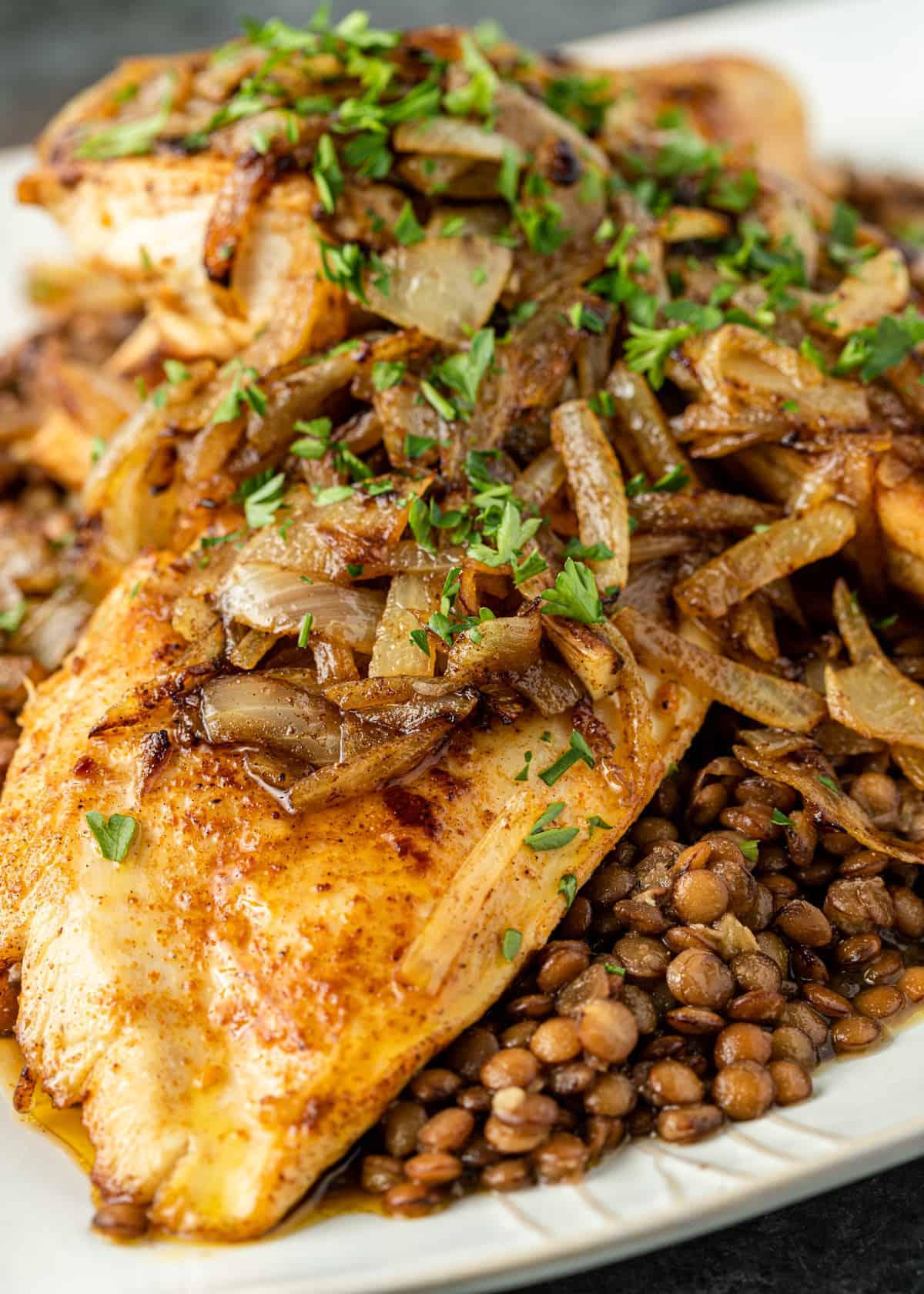 Berbere Chicken and Lentils on a white plate