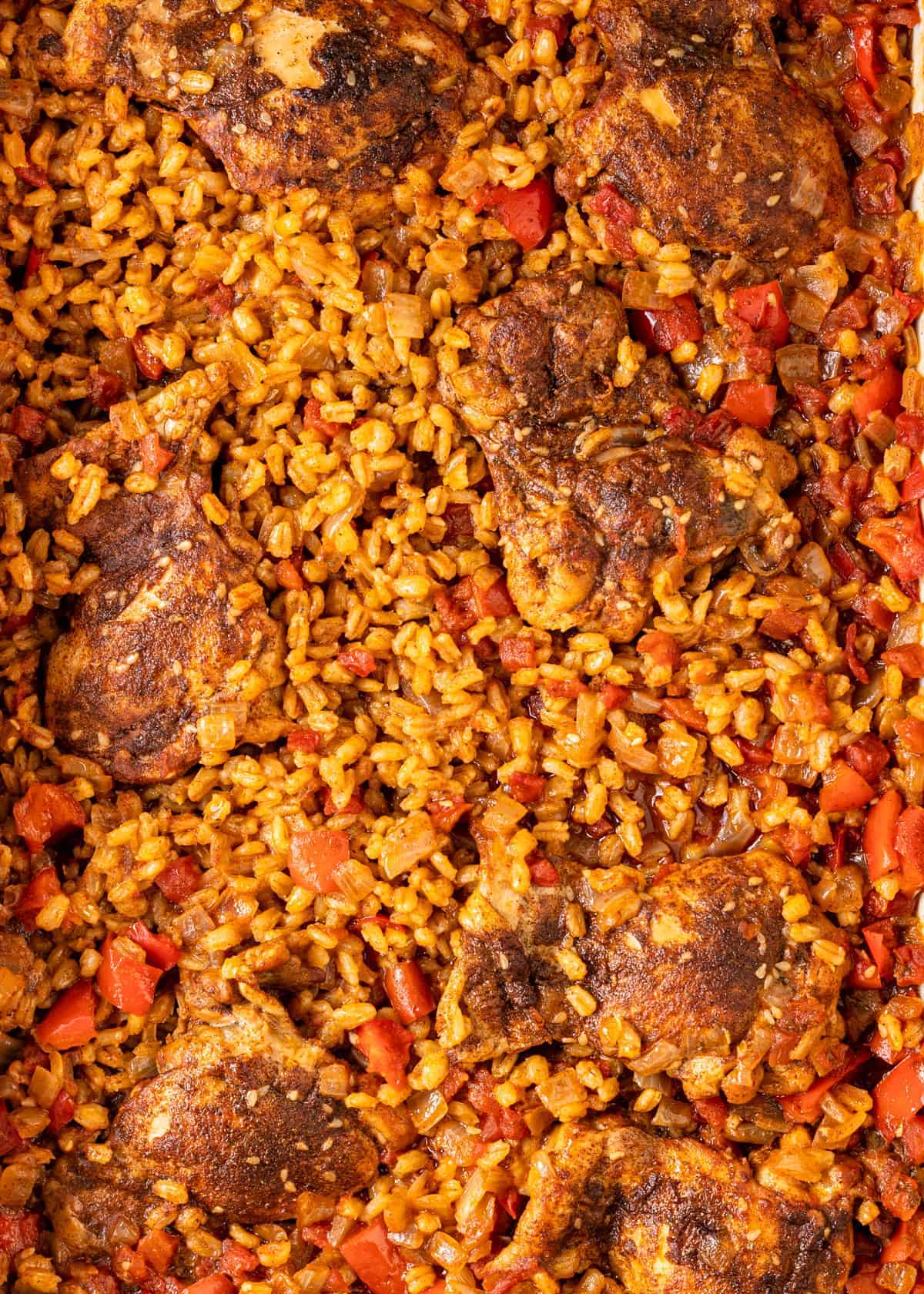 overhead: Moroccan smothered chicken thighs nestled into grains of pearled barley