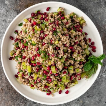 overhead: ancient grain salad with pomegranate arils on white platter
