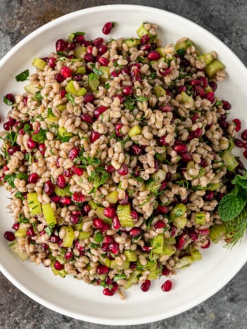 overhead: ancient grain salad with pomegranate arils on white platter
