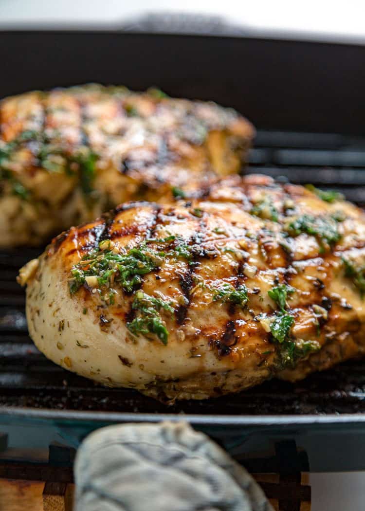 closeup of juicy grilled chicken