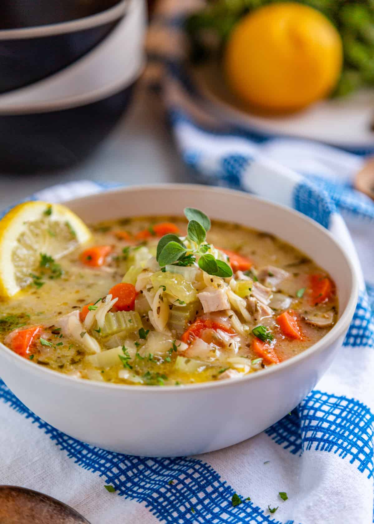 side view of greek chicken orzo soup