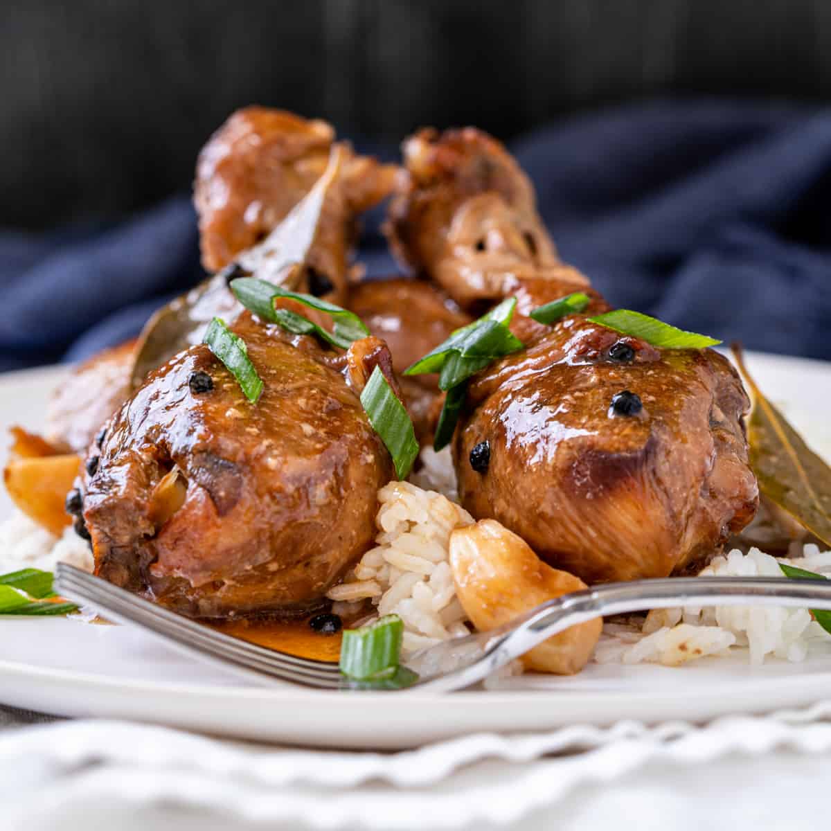 Filipino Chicken Adobo on a plate