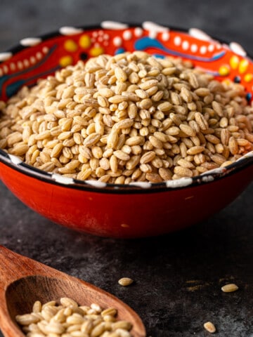 close up of pearled barley in bowl with spoon
