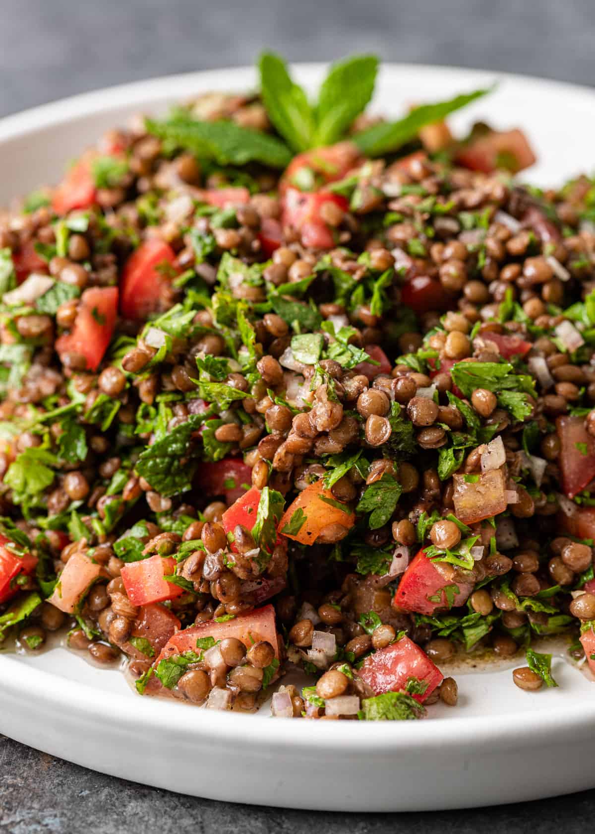closeup: lentil tabouli salad with tomatoes and fresh herbs