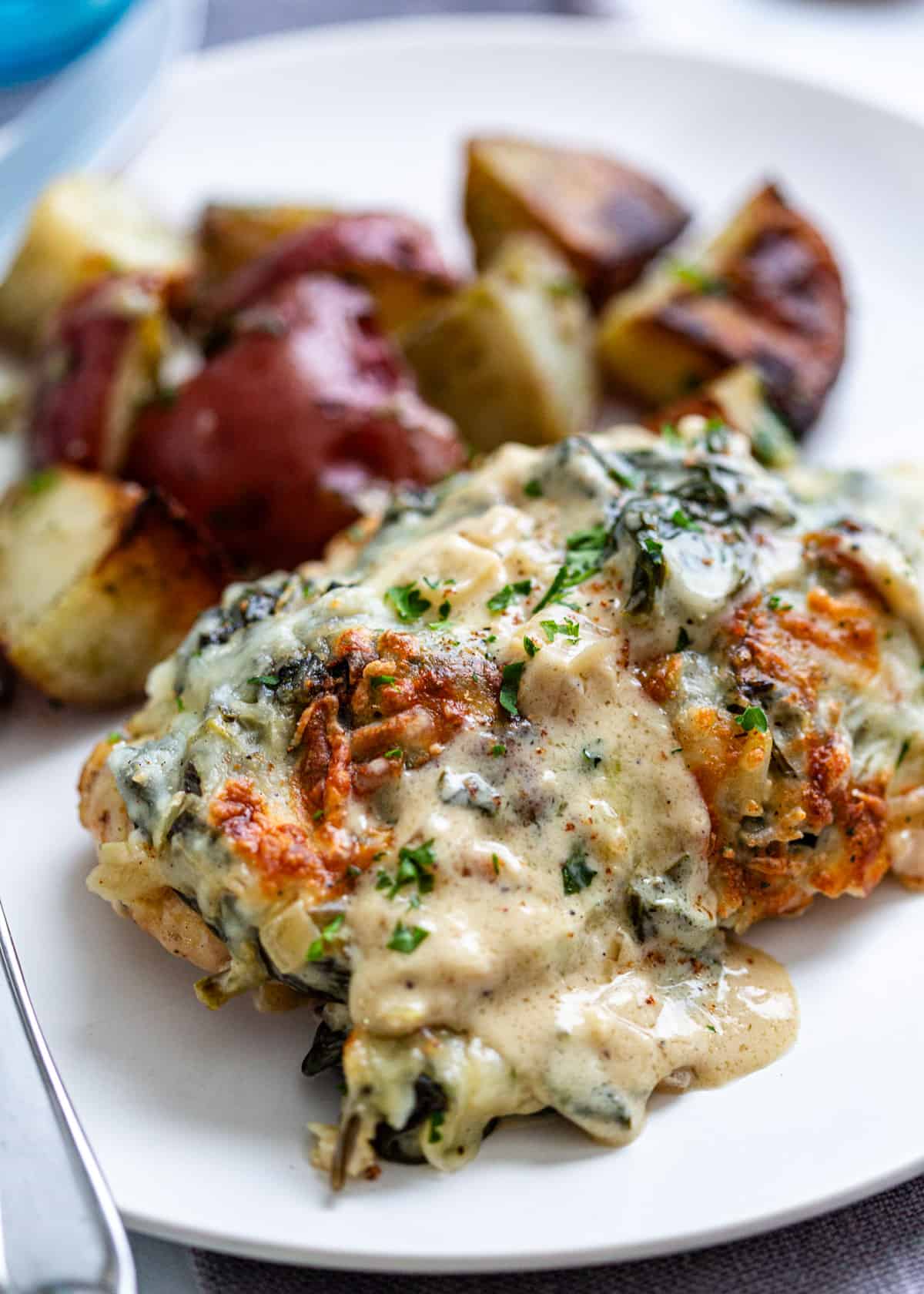 overhead: chicken florentine recipe on a plate with a creamy sauce