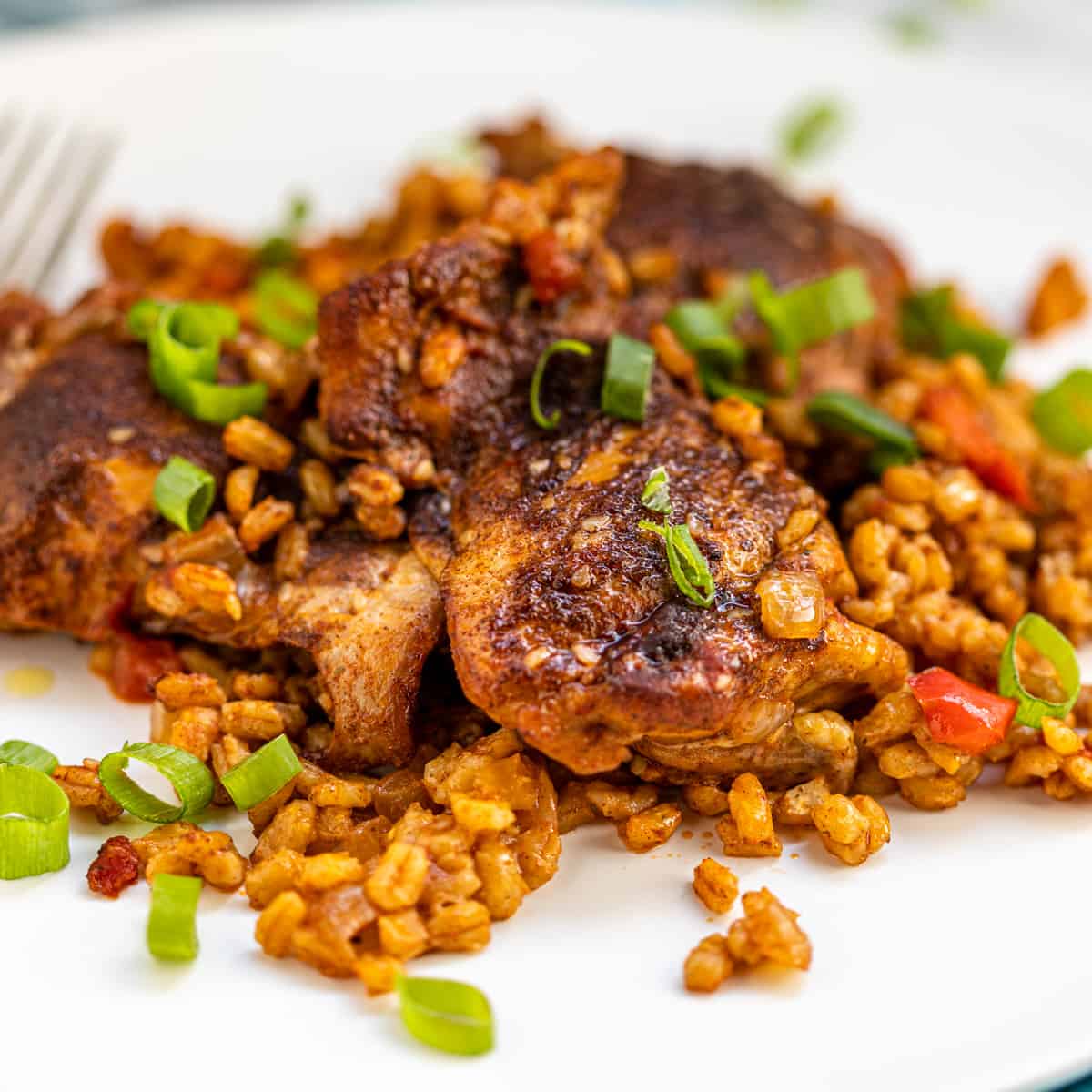 Moroccan spiced chicken smothered in barley