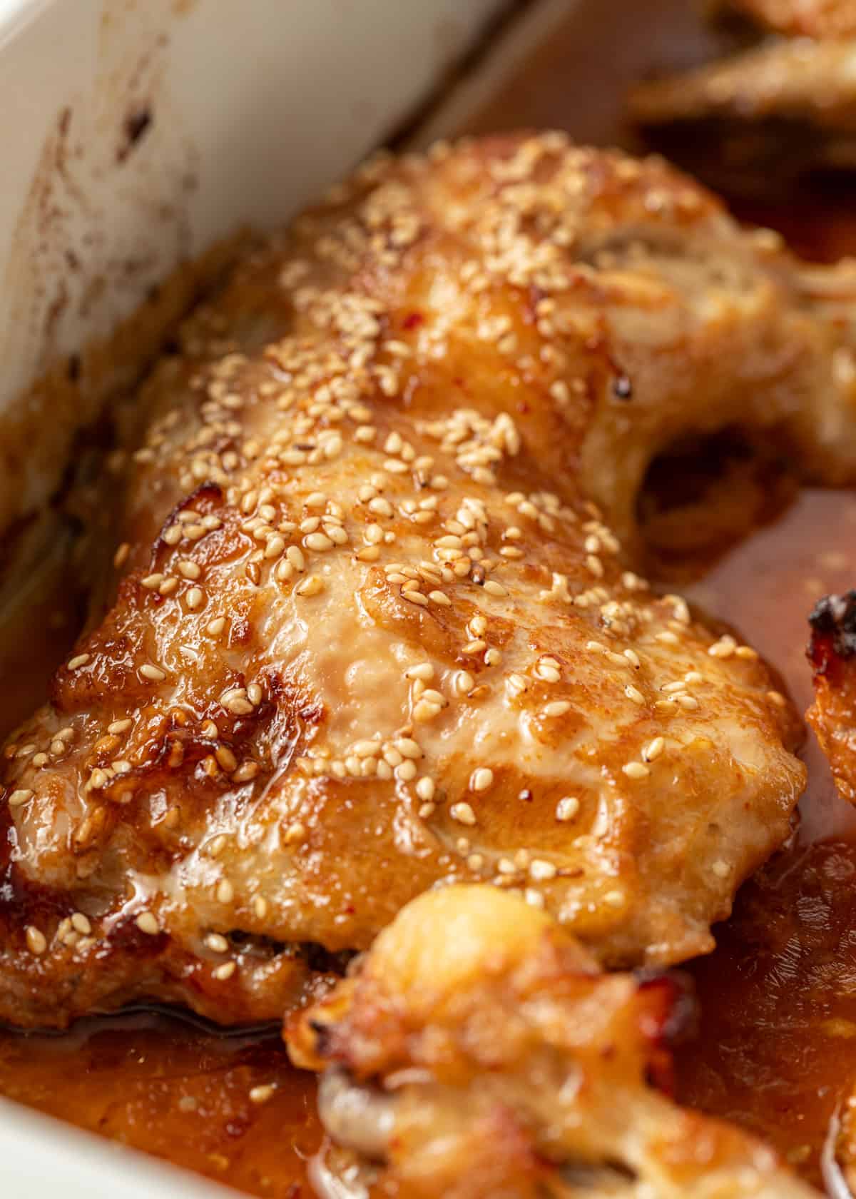 extreme closeup: miso chicken with sesame seeds on skin